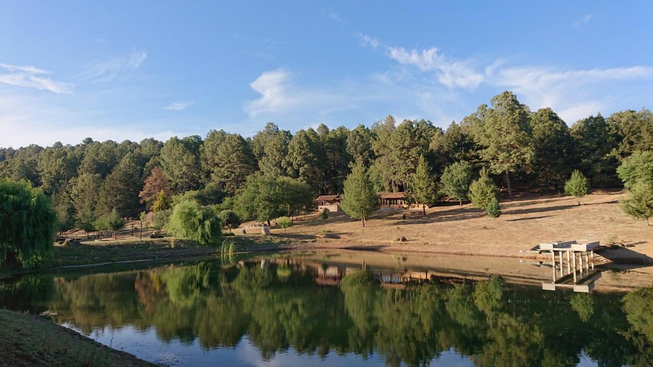 Cabanas Tapalpa Sierra Del Tecuan, Cabana Tejon Esterno foto