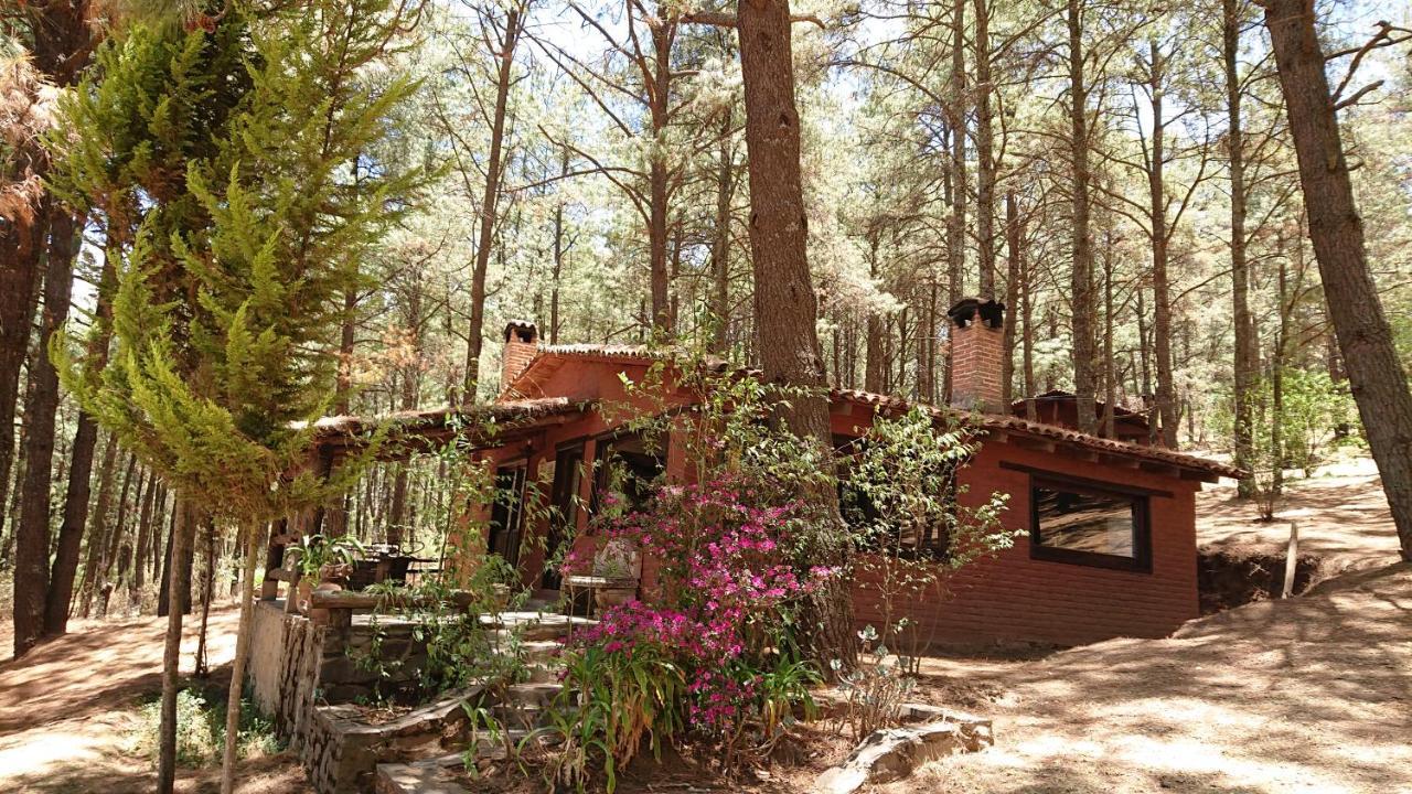 Cabanas Tapalpa Sierra Del Tecuan, Cabana Tejon Esterno foto